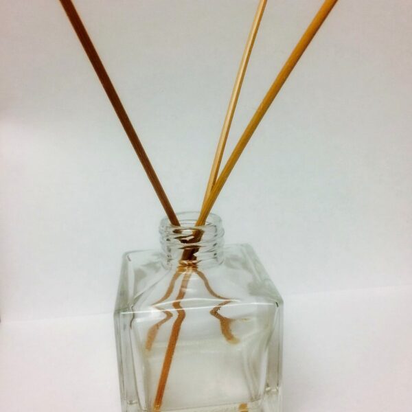 Fern + Moss — Diffuseur de Parfum